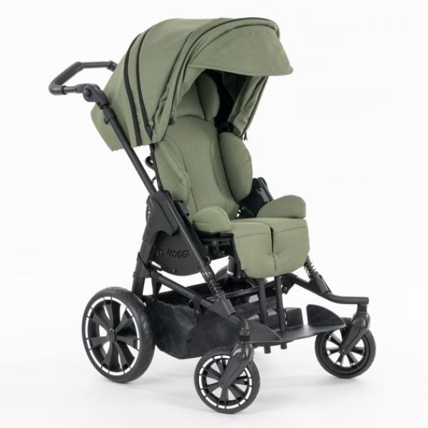 BINGO Evolution Trendline-4